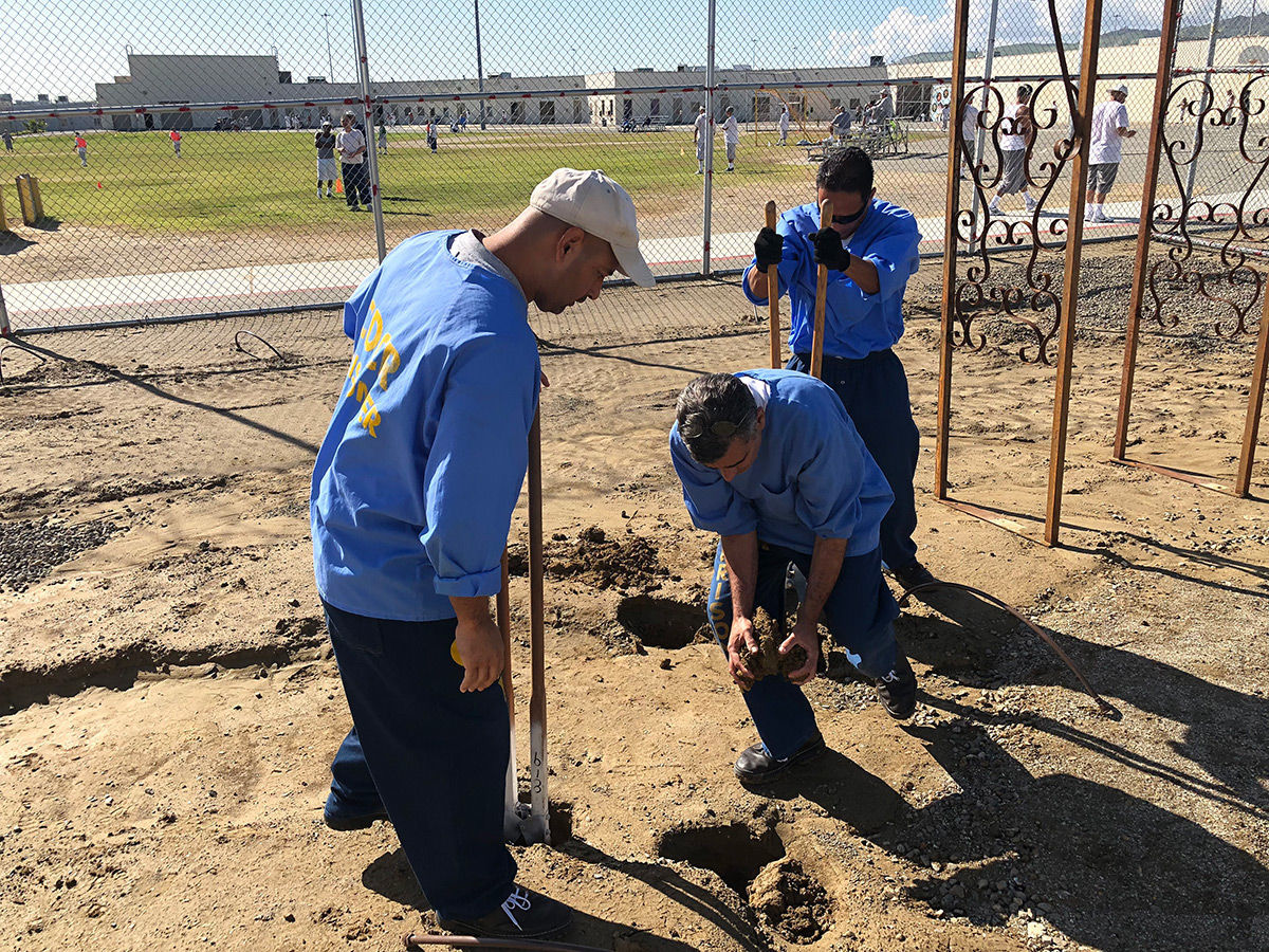 Avenal State Prison garden